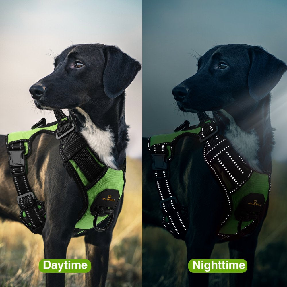 MASBRILL Reflective Dog Harness No Pull Dog Vest Harness with Handle, Breathable Padded Dog Chest Harness Adjustable for Small Dog-Green S