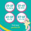 Pampers Easy Ups Training Pants Underwear for Girls (Sizes: 2T-5T)