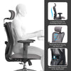 SIHOO Ergonomic High Back Office Chair, Adjustable Computer Desk Chair with Lumbar Support, 300Lb, Gray