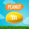 M&M'S Peanut Milk Chocolate Full Size Bulk Candy (48 Ct.)