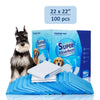 Petfamily Dog Training Pads Super Absorbent--22" X 22", 100 Count, for Small to Medium Dogs